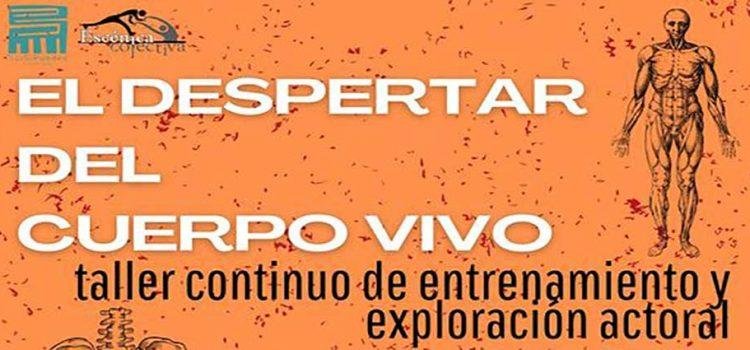 Deja despertar a tu cuerpo