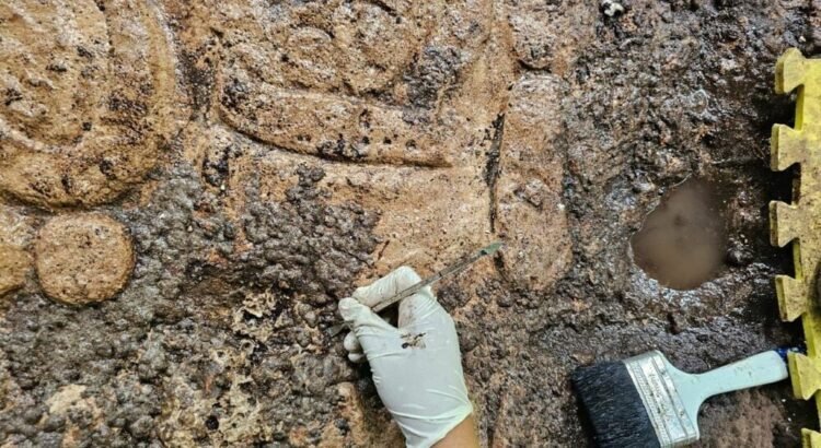 Realizan labores de conservación en la ‘Roca de la fundación’, texto jeroglífico maya recién descubierto en Cobá Realizan labores de conservación en la ‘Roca de la fundación’, texto jeroglífico maya recién descubierto en Cobá