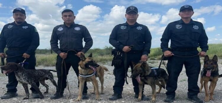 Los binomios caninos de Coahuila se suman para la búsqueda de víctimas de inundaciones en Texas